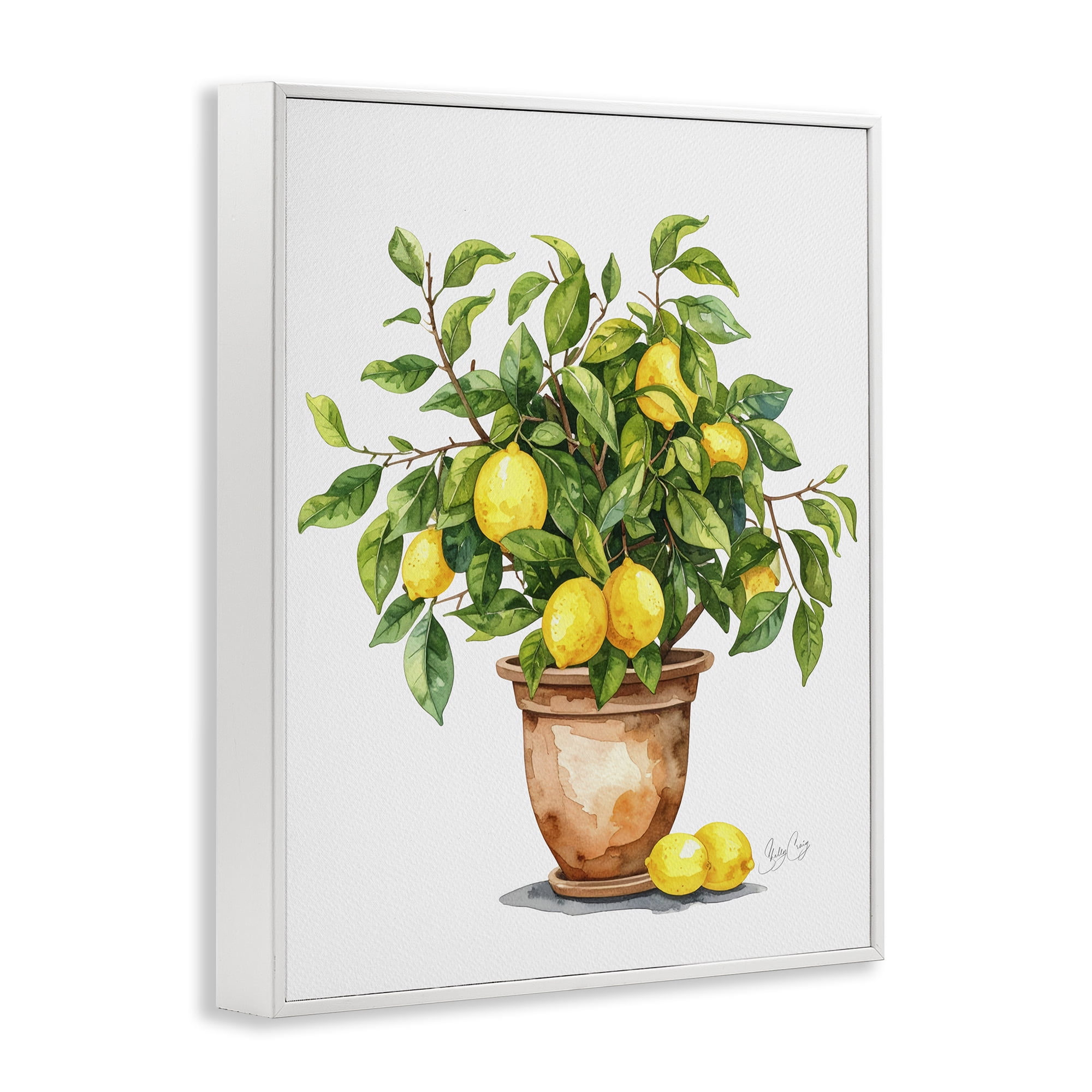 Stupell Industries Potted Lemon Tree White Framed Giclee Art, design by Shelly Craig