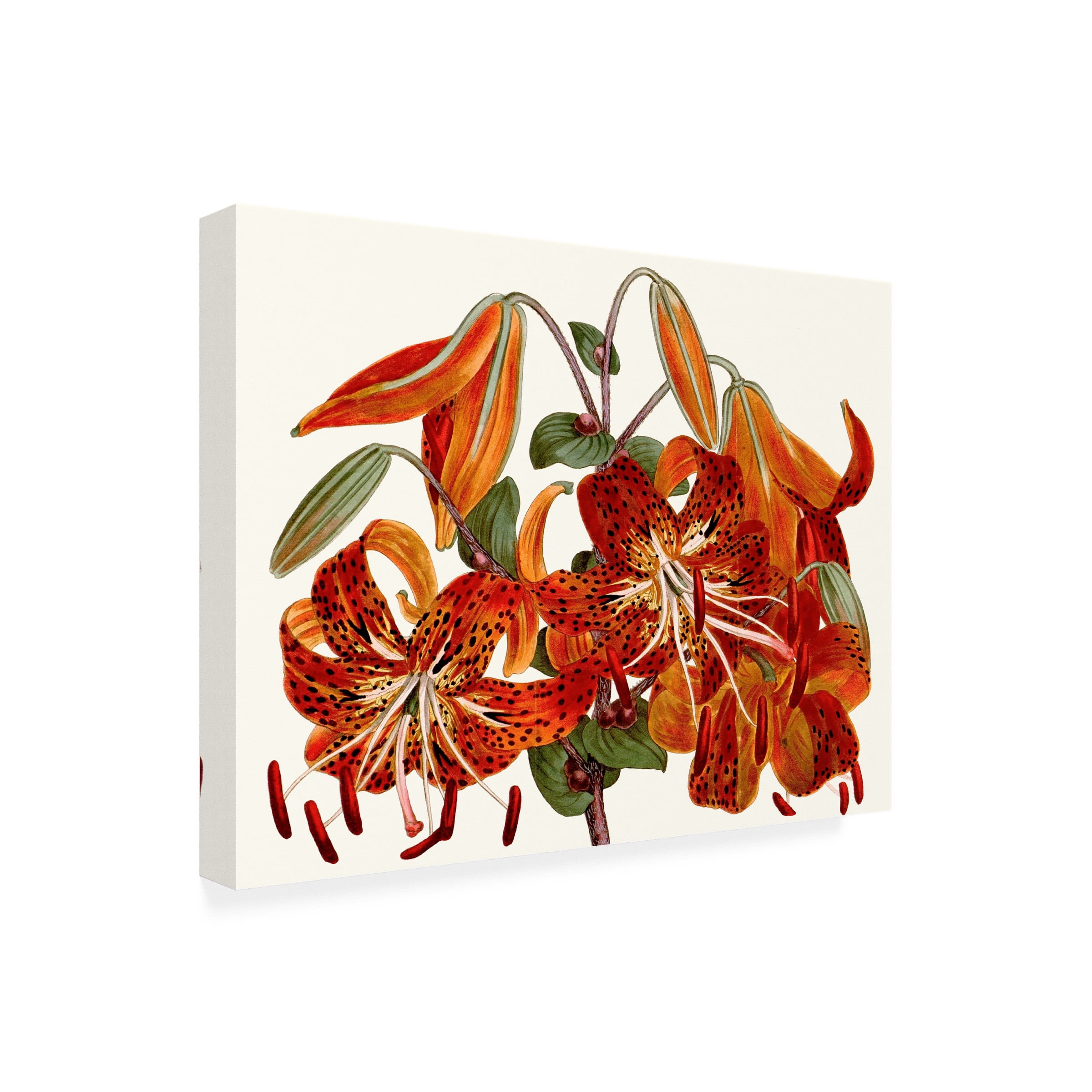 Curtis 'Striking Coral Botanicals II' Canvas Art