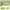 Light Green🌹#692, variant on Pillow Cases Set of 2 | Soft Brushed Microfiber Polyester Pillow Covers | Envelope Closure | 20x30 Inch | Shrink and Fade Resistant | Queen Size | Machine Washable | Multiple Colors
