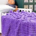 thumbnail image 4 of Ntbay Flannel Fuzzy Soft Warm Cozy Toddler Blanket, Fluffy Warm and Lightweight Reversible Stripes Design Toddler Plush Blanket for Stroller, Crib, Travel, 30" x 40", Purple, 4 of 6