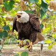 thumbnail image 4 of Cqxid Hibou Déserreur Oiseau Effrayer Plat Jardin Épouvantail Leurre Ruban Réfléchissant, 4 of 4