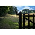 thumbnail image 3 of Adornos de jardín de burro de metal para cercas Decoraciones al aire libre Hogar Burro Animales Jardín Decoración Esculturas Hierro fundido oxidado Siluetas Árbol Patio Arte de la pared Regalo DonkeyC, 3 of 5