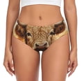 thumbnail image 1 of Fotbe Vintage Sunflower Cow Calzones Estampados para Mujer – Ropa Interior de Algodón, Cómoda, Suave y Elástica-3X-Large, 1 of 6