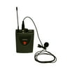 AmpliVox Sound Systems Titan Wireless Portable 100 Watt PA