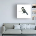 thumbnail image 3 of Bruce Dean 'Songbird Study II' Canvas Art, 3 of 3