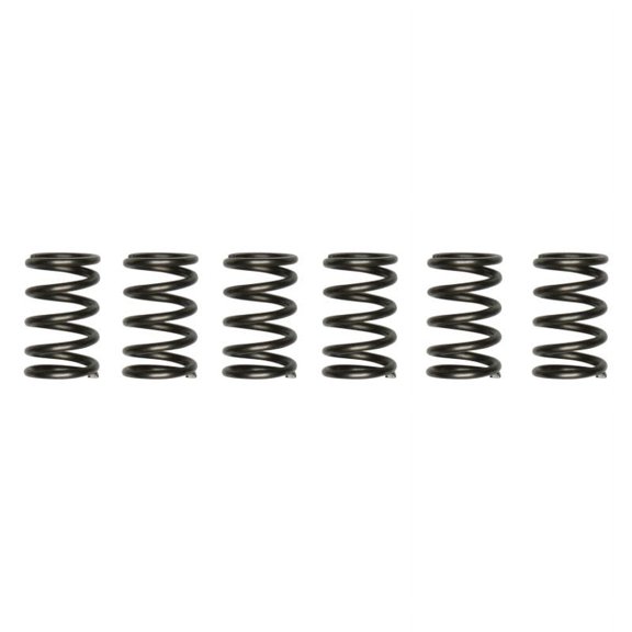 EBC CSK171 - CSK Series Heavy Duty Clutch Spring Kit