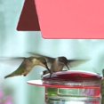 thumbnail image 2 of Mosaic Birds M447-301-R Cottage Hummingbird Feeder, Red, 2 of 4