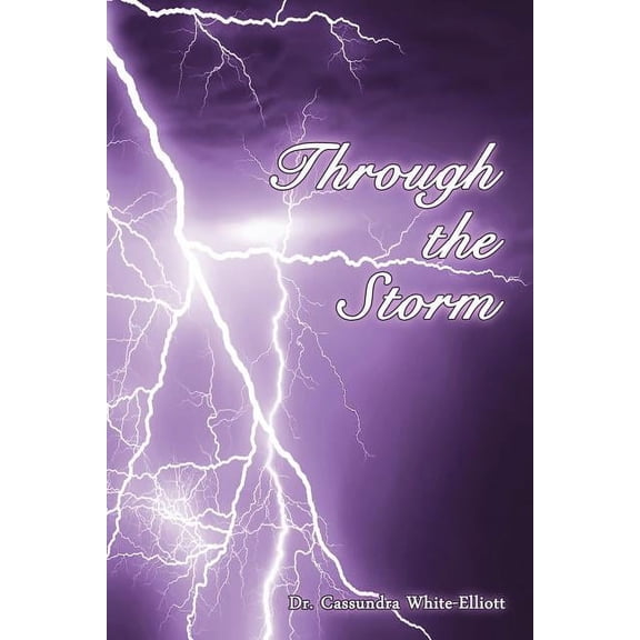 Through the Storm (Paperback)