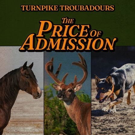 Turnpike Troubadours - The Price Of Admission - Music & Performance - CD