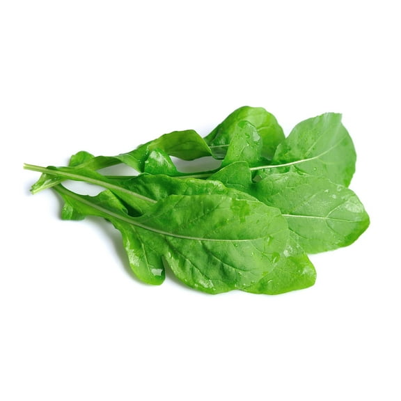 2000 Seeds ROQUETTE ARUGULA Rocket Eruca Vesicaria Sativa Herb Vegetable Seeds