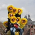 thumbnail image 3 of Wosthever Sombrero del traje de los girasoles de la novedad de la aplicación amplia del poliéster para la cabeza para todas las edades para Kits de decoración para fiestas, 3 of 6