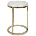 thumbnail image 1 of Jennifer Taylor Home Table d'Appoint Ronde Dendros Live Edge Imitant Or & Acrylique, 1 of 10