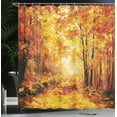 thumbnail image 4 of Ambesonne Nature Shower Curtain, Autumn in Relax Forest, 69"Wx70"L, Orange Brown, 4 of 5