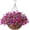 Plum Purple, variant on Artificial Hanging Flowers in Basket for Patio Garden Porch Deck Spring Decoration, Artificial Daisy Arrangement,Fake Plants in 12 inch Coconut Lining Basket for Outdoor/Indoor(Yellow and white)