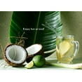 thumbnail image 3 of Harney & Sons, Green Tea Bags, Green Tea with Coconut, 1.4 oz, 20 Count, 3 of 8