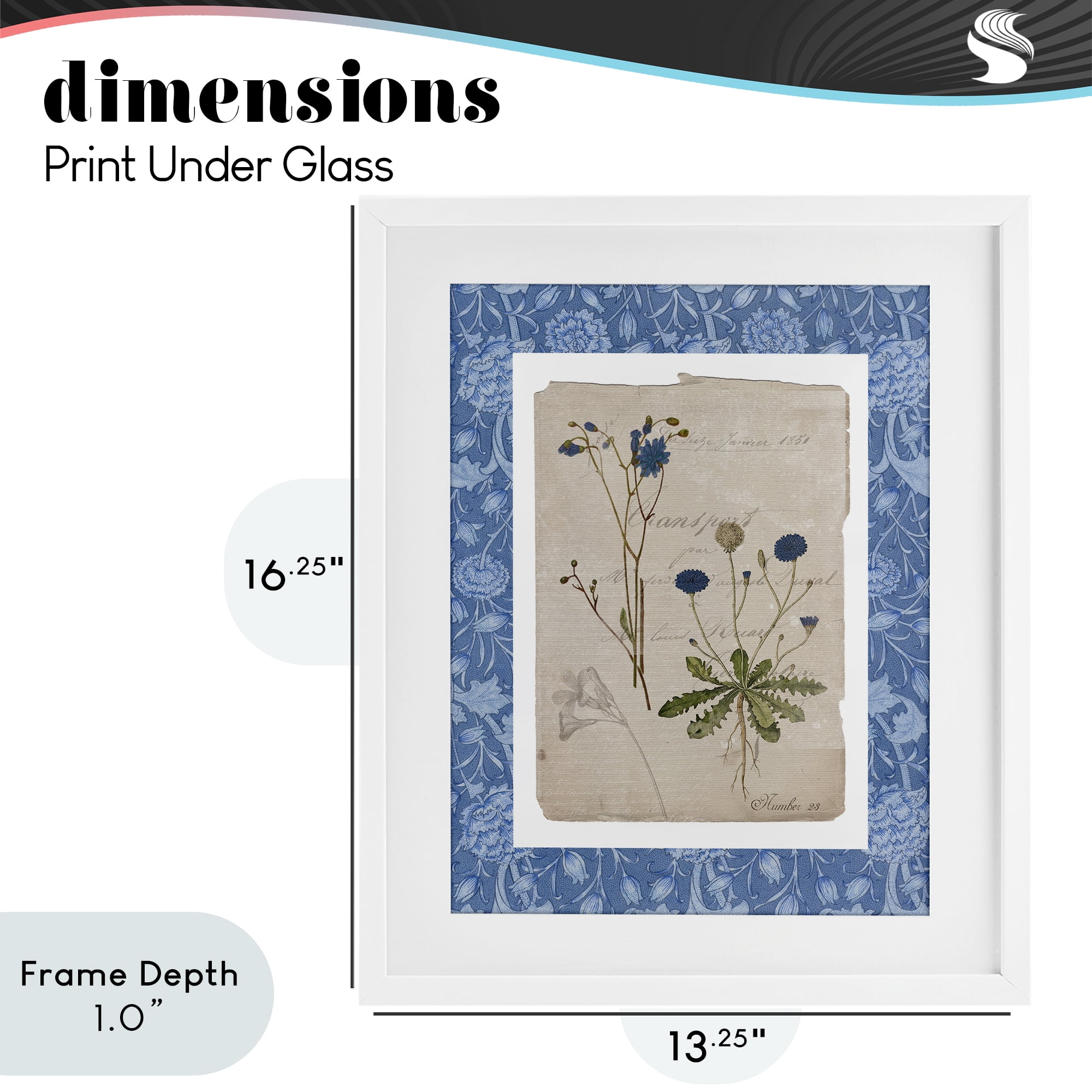 Stupell Industries Blue Antique Herbs White Framed Print Under Glass, design by Livi Finn