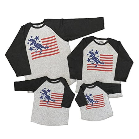 

7 ate 9 Apparel Matching Family 4th of July Shirts - Dino Flag Dinosaur USA Grey Shirt 2T