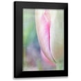 thumbnail image 1 of Murdock, Ramona 17x24 Black Modern Framed Museum Art Print Titled - Spring Beauty II, 1 of 5