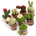 thumbnail image 1 of Full Range of Needle Felting Kit, Kissbuty Cactus Wool Felted Set for Adults and Beginners Including Wool Roving for 8 Succulents, Foam Mat, Glass Pots, Needles, Finger Guards Tools Kit, 1 of 5