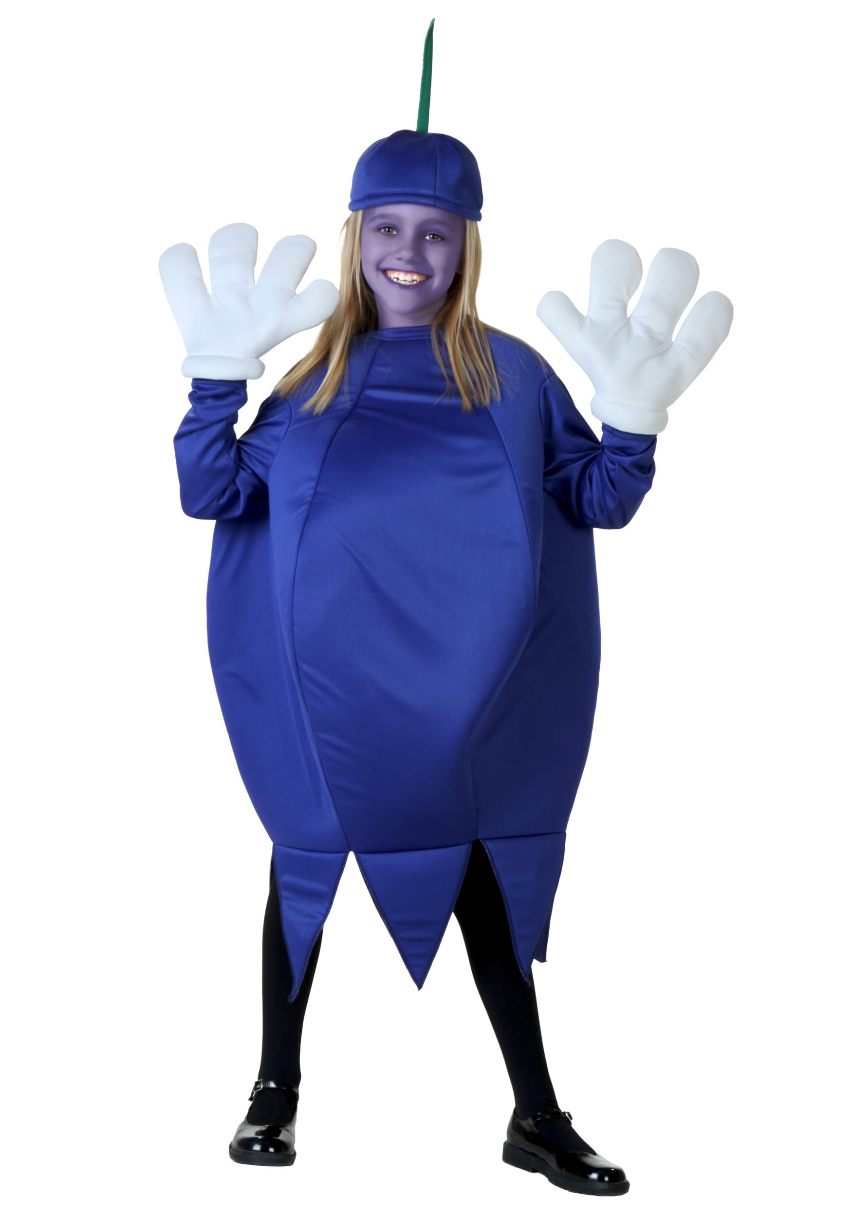 dog blueberry costume