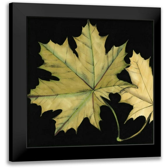 Goldberger, Jennifer 12x12 Black Modern Framed Museum Art Print Titled - Small Tandem Leaves II