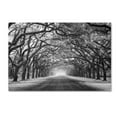 thumbnail image 2 of Wormsloe Inf Light' Canvas Art by Mike Jones Photo, 2 of 3