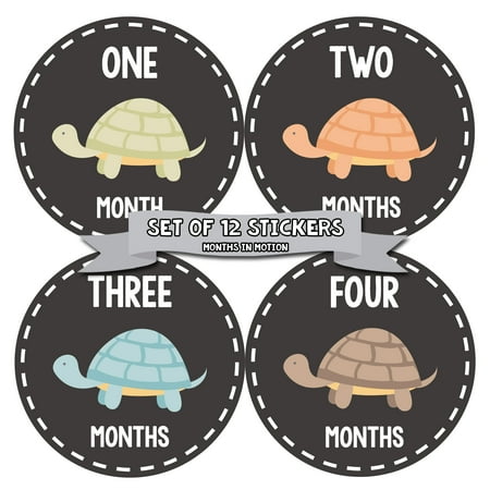 months in motion baby month stickers monthly baby sticker for