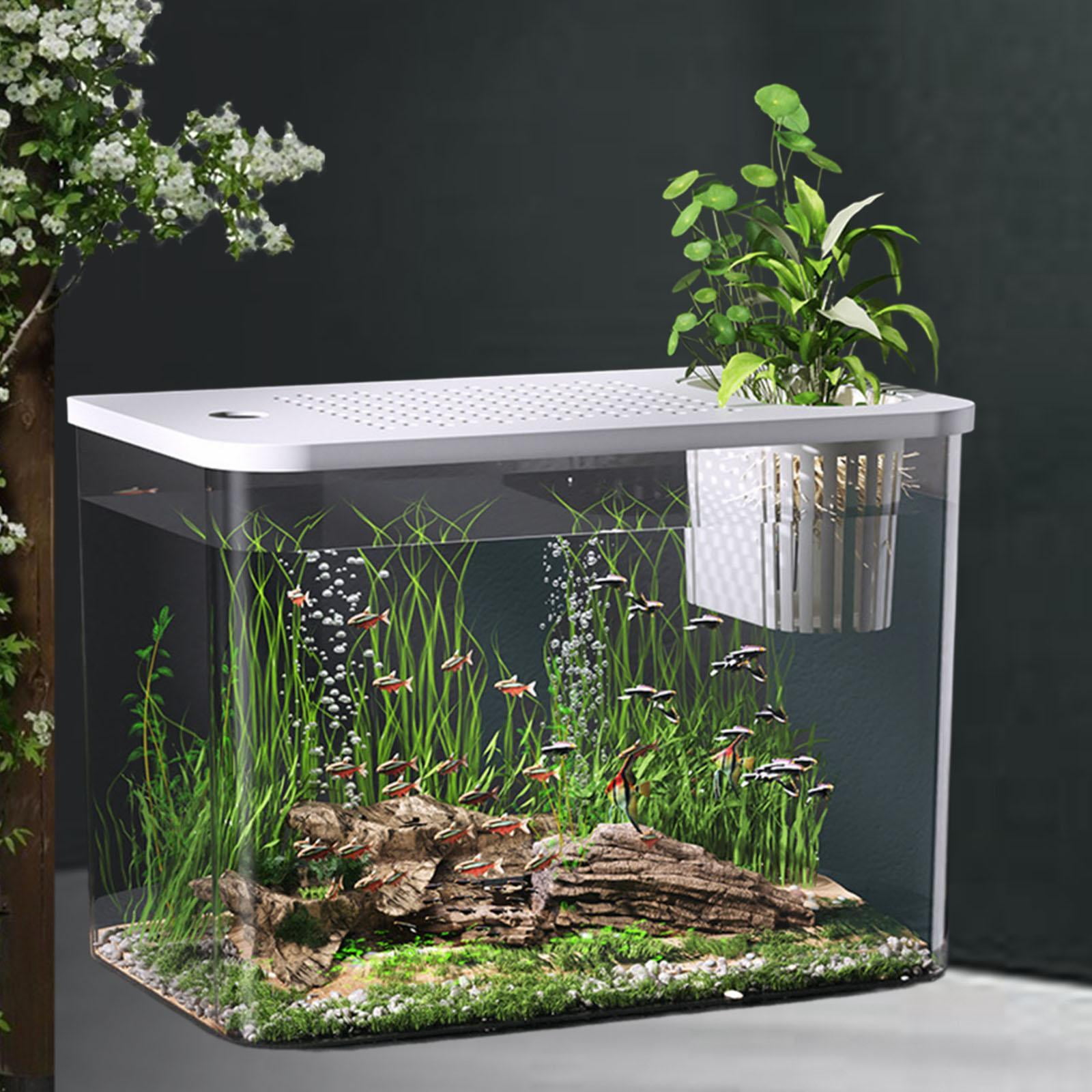 Stgfyxgs Reptile Terrarium Tank Habitat Desktop Breeding Tank Small Tank Clear Visibility for Snake Frog Betta Gecko Lizards White Lid