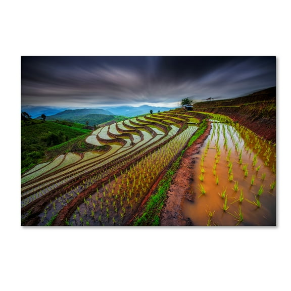 Trademark Fine Art 'Unseen Rice Field' Canvas Art by Tetra