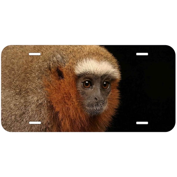 Monkey TAG20 Novelty Car Auto License Plate