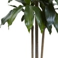 thumbnail image 3 of Nearly Natural 5' Dracaena Plastic Artificial Plant UV Resistant (Indoor/Outdoor), Green, 3 of 3