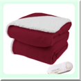 thumbnail image 2 of CozyWarm Couverture Chauffante Électrique avec Sherpa Naturel en Rouge Brique, 2 of 3