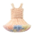 thumbnail image 1 of SgJHXb Robe Tutu en Maille pour Bébés Filles Robe Sans Manches pour Tout-Petits Jupe Tutu Arc-en-Ciel Princesse Robe Décontractée Tailles 18-24 Mois, 1 of 2