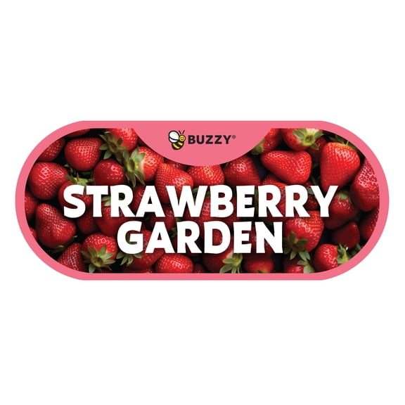 Buzzy Seeds Alpine Strawberry Grow Kit, Hammered Windowsill Planter