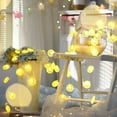 thumbnail image 4 of Decorative Fairy Lights Soft Glow Non-Glaring Battery Operated Orange Slices String Lights LED Hanging Lamps, 4 of 8