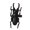 B, variant on Fashionable Metallic Scarab Rings Vintage Styles Accessory Cool Rings for Daily Wear and Special Occasions