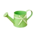 thumbnail image 4 of Junepar 0.26 Gallon Metal Watering Can for Outdoor Indoor Decorative Countryside Style Small Water Can with Bow for Home & Garden Decor 1L Green, 4 of 4