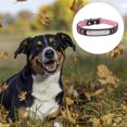 thumbnail image 3 of Blueberry Pet Collar para perro tapizado de neopreno jacquard reflectante de seguridad suave de 9 colores 3M, 3 of 5