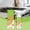 1pc, variant on Electrolyzed Ion Kitchen Cleaner Spray,Cleanse Natural Enzyme Formula to Household Appliances,2026 New Clease Multi-Purpose Kitchen Appliance Cleaner for Range Hoods, Gas Stove, Countertops 120ml