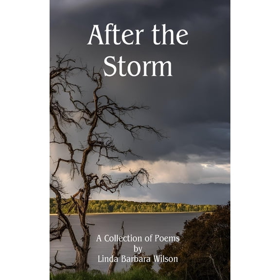 After the Storm, (Paperback)