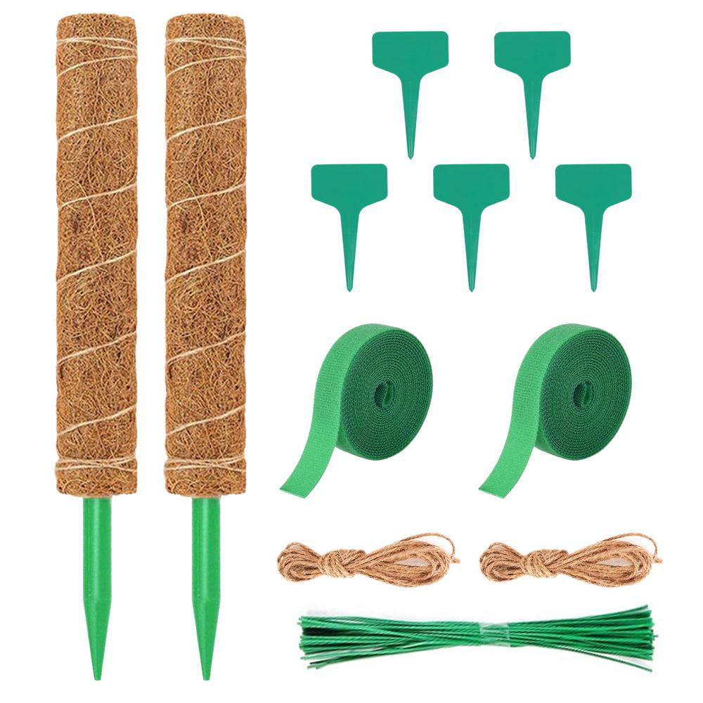 Indoor & Outdoor Use 2 Lengths Gardman Green Dyed Plant Sticks 40cm & 30cm 