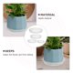thumbnail image 3 of unbranded 4Ud Protector De Plantas Transparente Para Recoger En Interior, 3 of 8