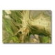 thumbnail image 2 of Cuadro Decorativo Abstracto 20x30 Verde Musgo, 2 of 6