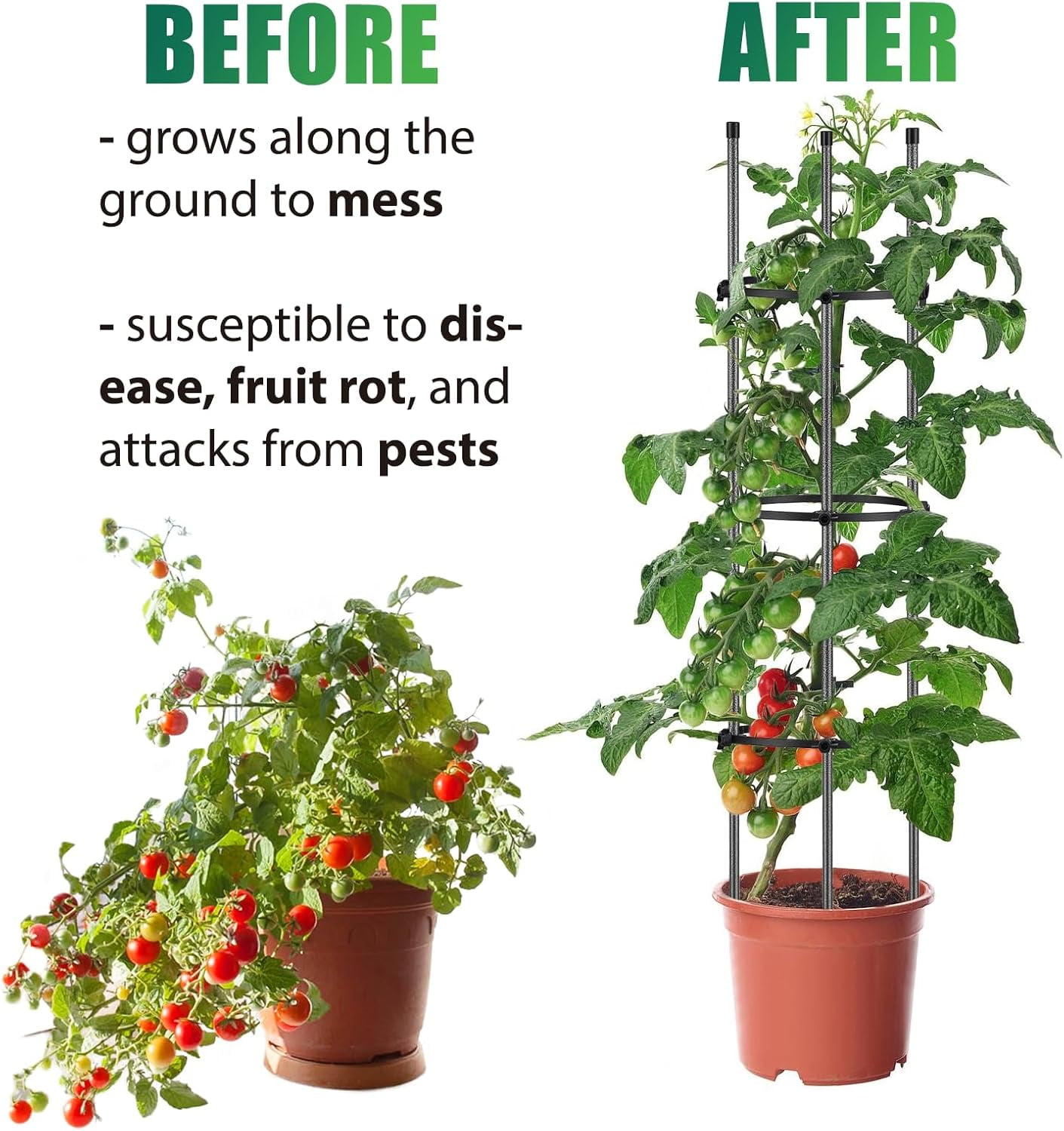 31" Metal Tomato Cage Garden Trellis to Support Plan with 2 Adjustable Support Rings for Pots,1 Pack