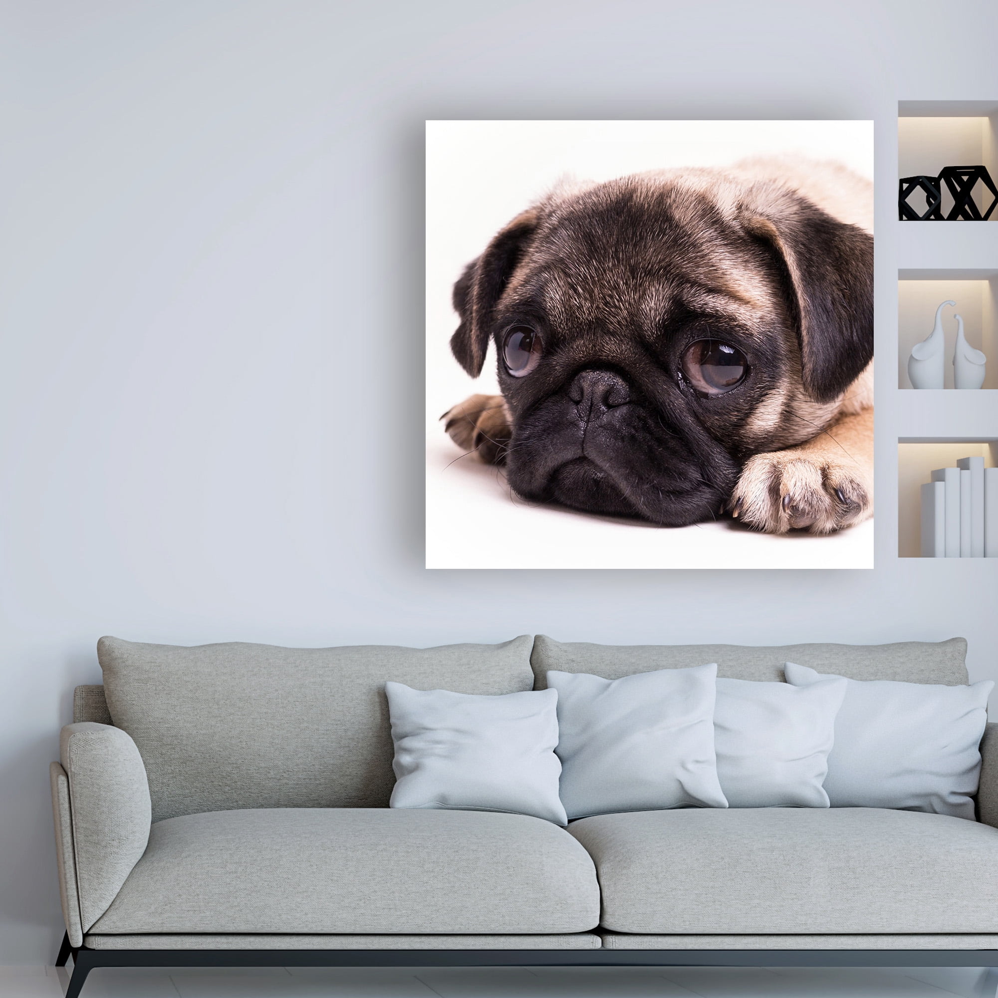 Trademark Fine Art 'Sad Sack Pug' Canvas Art by Edward M. Fieldin