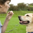 thumbnail image 3 of Dog Whistle Stop Barking Silent Ultrasonic Sound Repeller Trainer Stainless Steel Dog Whistle, 3 of 8