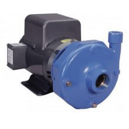 Goulds 3BF1JBA0, Centrifugal Pump, Series 3656 S, 5 HP, 230/460 Volts, 3 Phase, 1-1/2" NPT Discharge, 3500 RPM, Bronze Fitted