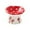B, variant on Elevated Ceramic Cat Slow Feeder Bowl Wide Shallow Dish Design for Vomiting Prevention and Whisker Fatigue Gentle Pet Feeding Solution