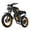 GT20 Pro-Black, variant on COSWHEEL GT20 PRO 4000W Electric Dirt Bike for Adults, 30+mph EBike with Dual Motor, 48V 25Ah+15Ah Removable Battery, 20"x4.0 Tires, Hydraulic Brakes, UL2849