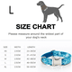 thumbnail image 2 of Collar de lazo ajustable para perro con hebilla de metal., 2 of 5